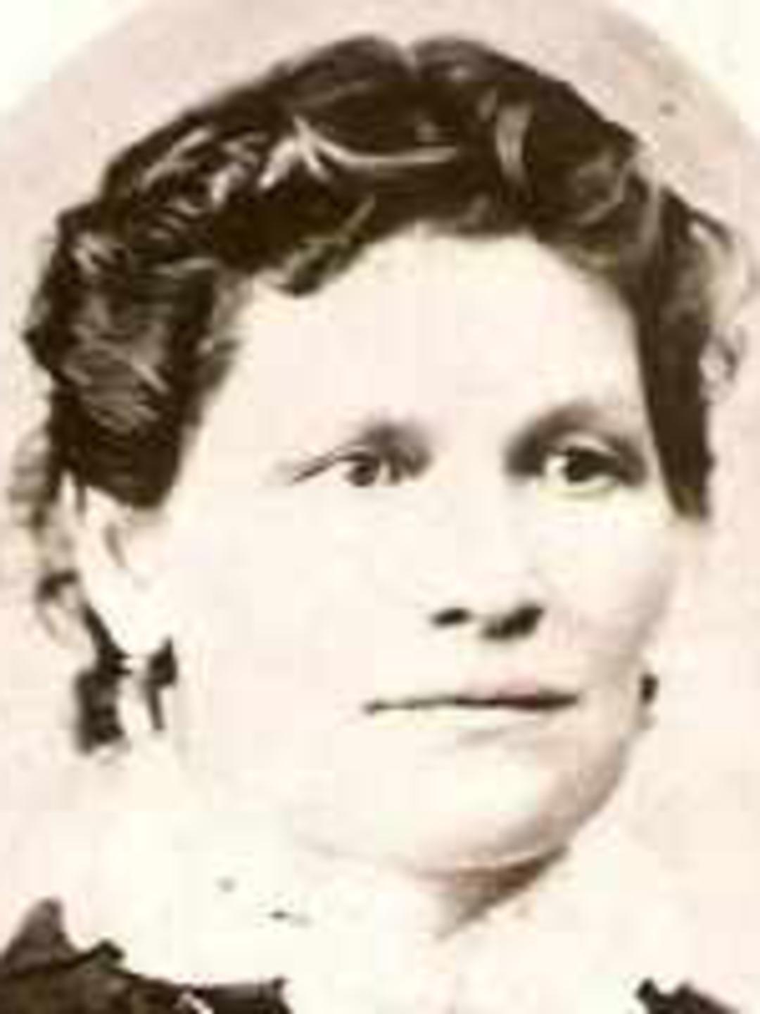 Mary Houston (1843 - 1908) Profile